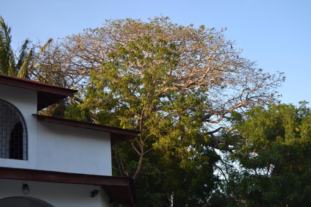 Giraffe House Bed & Breakfast Malindi Exterior photo